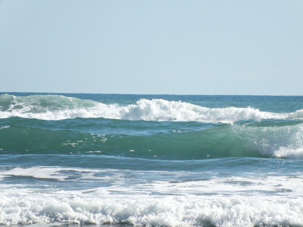 Waves in New Zealand